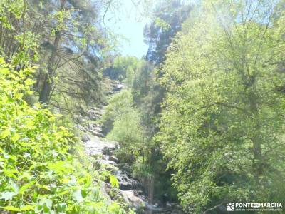 Joya Verde de Canencia — Un paseo por el Sestil del Maillo; rutas comunidad de madrid hoces del río 